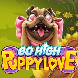 Go High Puppy Love slot icon by RubyPlay, available at Mostbet Casino