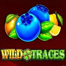 Wild Traces logo by Amusnet Interactive Mostbet Casino