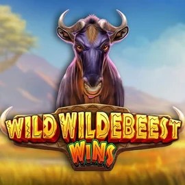 Wild Wildebeest Wins online game logo by Pragmatic Play on mostbetkaszino.org